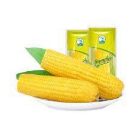 东北农嫂 黄糯玉米* 200g DBNS Yellow Waxy Corn