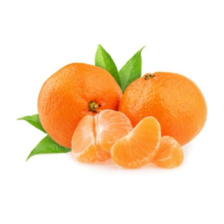 橘子🍊 Clementine Orange